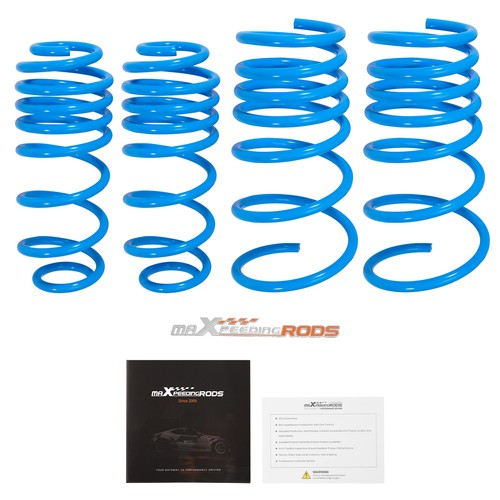 Ressorts courts for suzuki - ressorts,