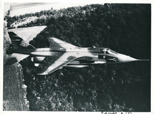 Grande argentique sepecat - grande,