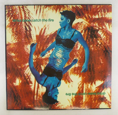Maxi single vinyle - 12", driza