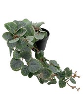 Ikea fejka plante artificielle - fejka,