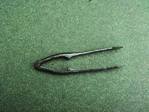 Ancien casse noix - ancien,