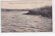 LONGPRE LES CORPS SAINTS : une hutte (chasse aux canards) - bon état