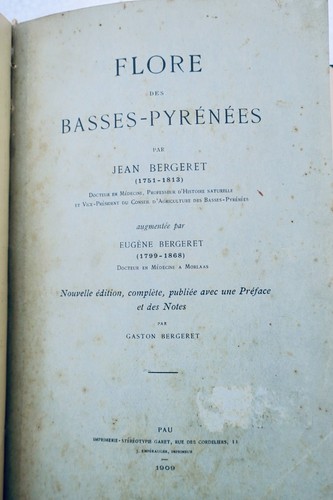 Pyrénées jean bergeret - pyrénées,