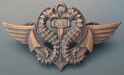 Certificat nageur combat - nageur, de