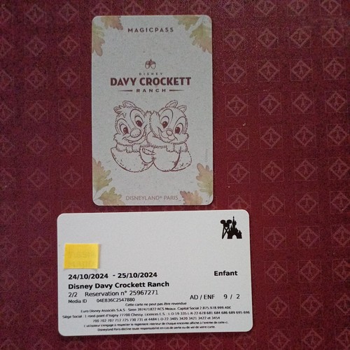 Pass disney disneyland - disney,