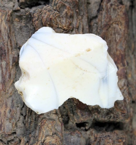 Opale blanche naturelle - opale,