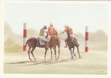 Carte postale postcard CHEVAL