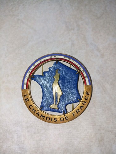 Insigne école de ski - insigne,