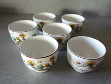 Villeroy & boch 6 bols modèle botanica