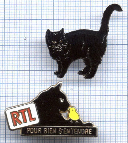 Lot pin chats - noir, 1