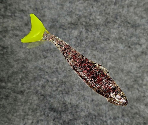 Egret baits - (count,