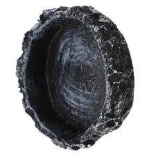  Plat D'eau Pour Reptiles