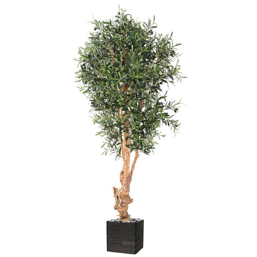 Olivier artificiel avec - , olives