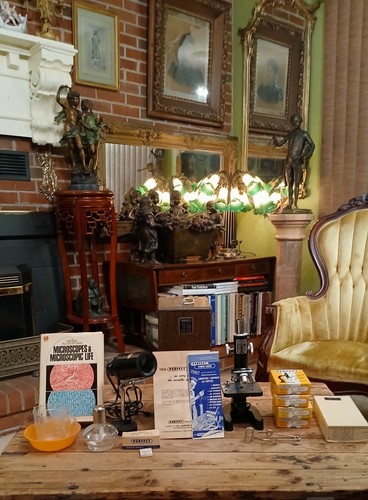 Vintage perfect microscope - vintage,