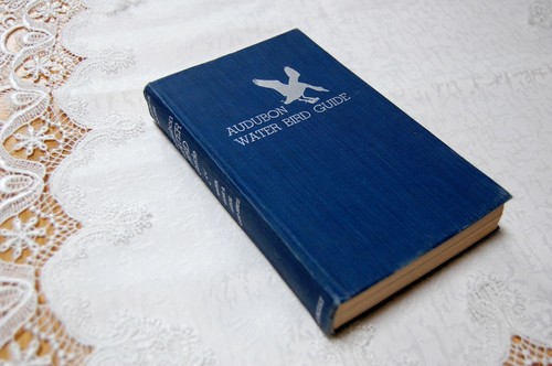 1951 audubon water bird guide - audubon,