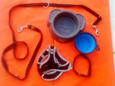 Lot Chiens  repas et activités pour chiot chiens 