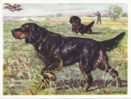 Original 1952 dog art - original,