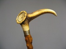 Canne à Pommeau En Andouiller De Cerf.