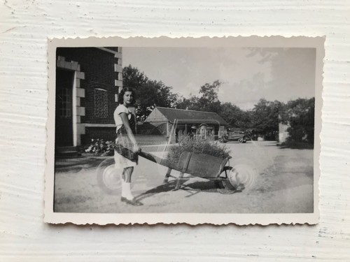 Snapshot photographie vintage - snapshot,