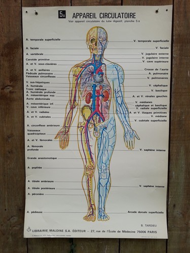 Ancienne affiche medecine - ancienne,