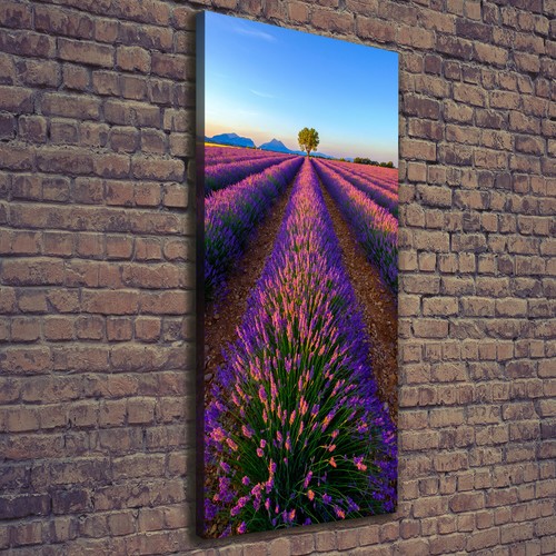 Tulup tableau sur toile - tulup, image