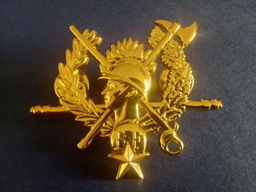 Sapeurs pompiers insigne - /,