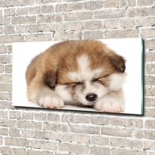 Tulup image sur verre - image,