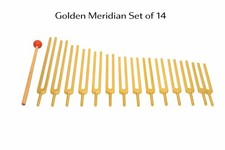 🎵 Or 14-Piece Meridian