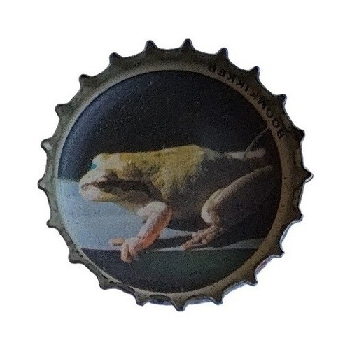 Capsules cap coca - coca, cola