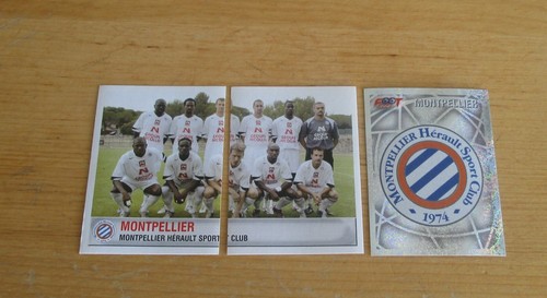 2007 montpellier ecusson - 2007,