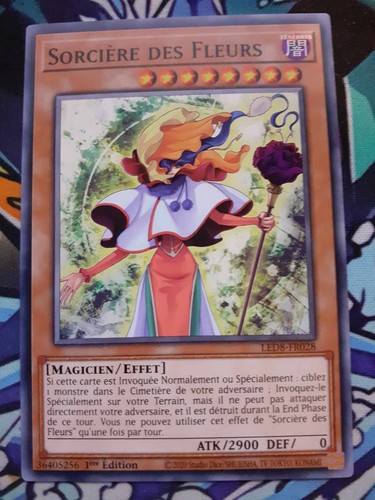 Carte sorcière des - yu-gi-oh,