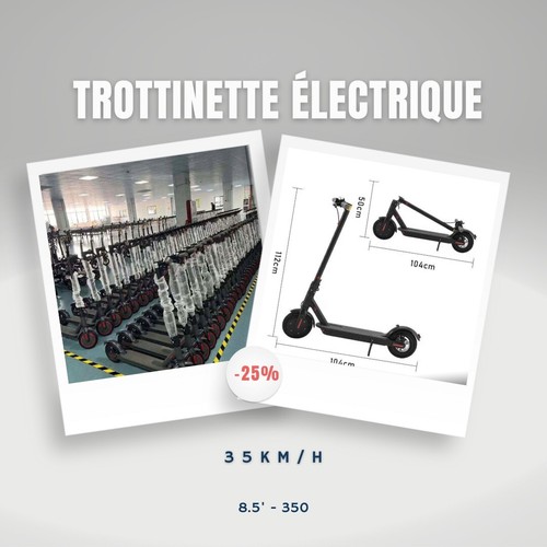  Trottinette électrique