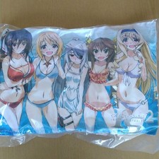 Infinite Stratos 2 heroines 5 Original illustration oreiller Japan Anime