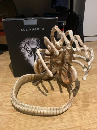Alien réplique taille réelle