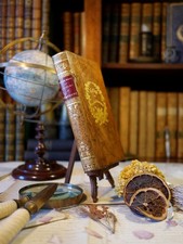 Charles le téméraire, Walter