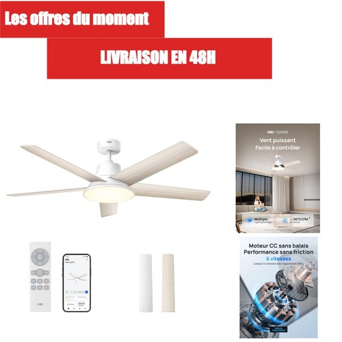 Dreo ventilateur plafond - ventilateur,