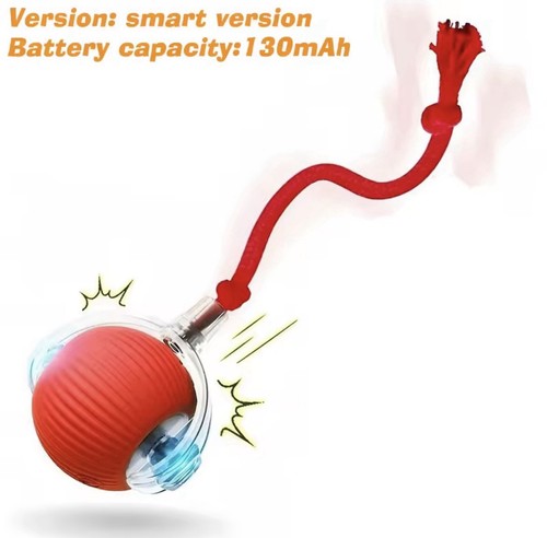 Jouet chat intelligent - chat,