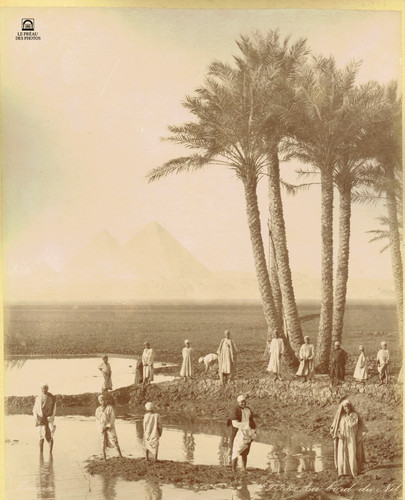 Zangaki egypte 1880 en - egypte,