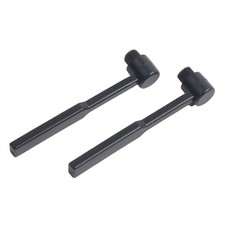 Jeu de 2 brosses pour platine