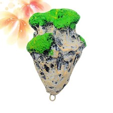 Déco Aquarium Cailloux Pour