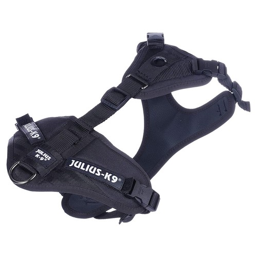 Julius mantrailing - julius-k9,