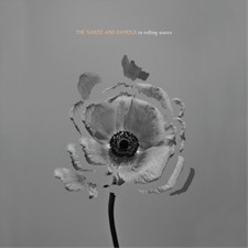 The Naked and Famous In