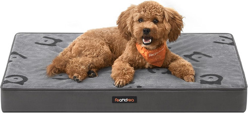 Panier pour chiens coussin - panier, chiens,