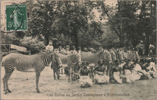 Zoo humain, Les Gallas et les
