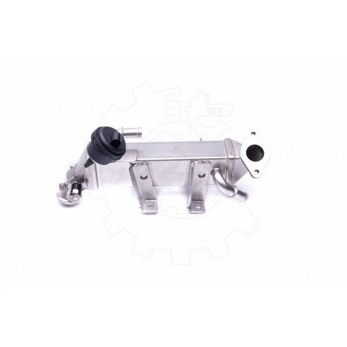 Egr valve radiator - egr, renault