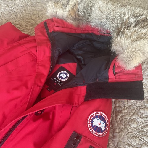 Canada goose montebello - canada,