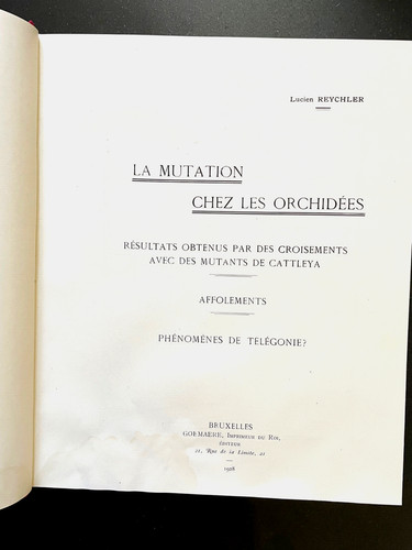 Mutation chez les - mutation,