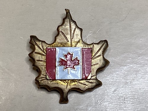 Pins feuille erable - pins,