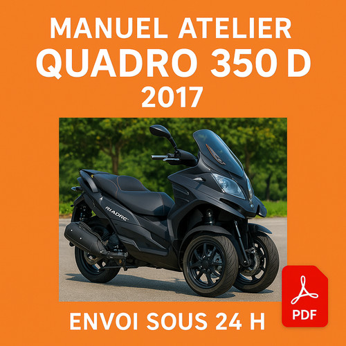 Manuel atelier quadro - manuel, d