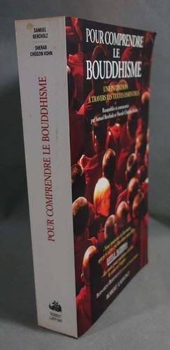 Pour comprendre bouddhisme - le,